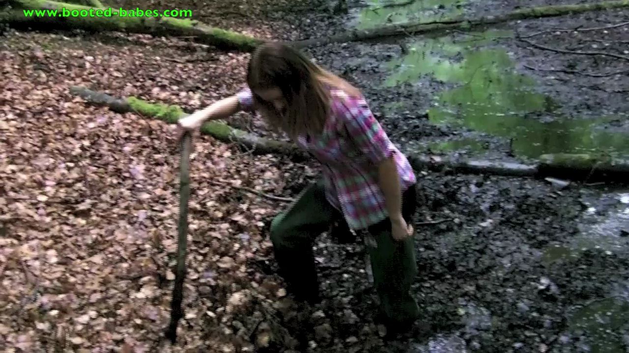 in-the-woods_main.jpg