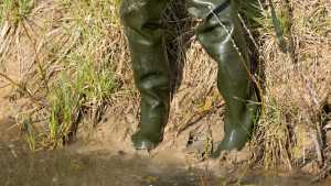 wet-and-muddy-coursefisher-waders_2.jpg